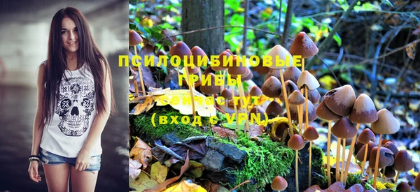 скорость mdpv Медногорск