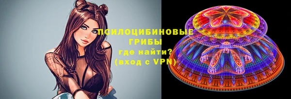 гашик Медвежьегорск