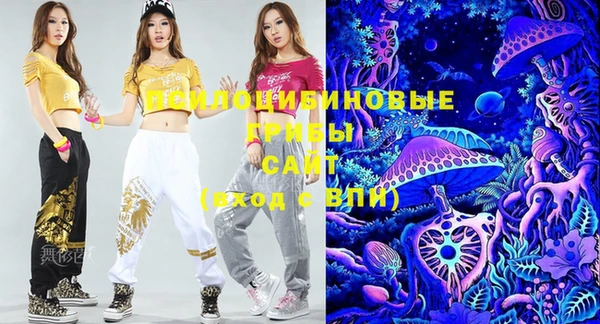 гашик Медвежьегорск