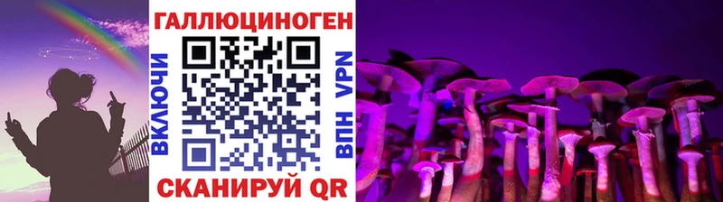 Купить закладки  Братск  Псилоцибиновые грибы MAGIC MUSHROOMS 